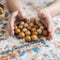 QTOYS - 2 Tone Wooden Balls (Set of 50)